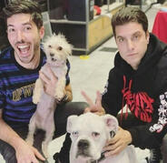 DOGS DOGS